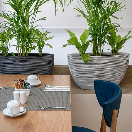 Отель Miss Marrone 4*